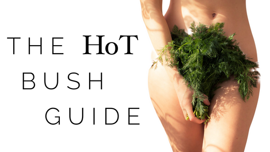 the HoT Bush Guide
