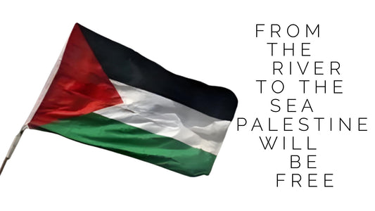 LGBTQIA+ Palestinians: how to support
