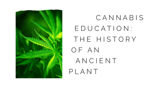 cannabis education - the history of an ancient plant